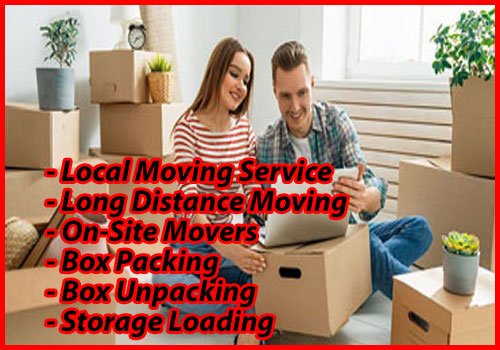 Packers And Movers Noida Sector 149